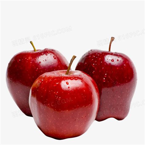 农大教授培育红肉苹果，证明世界栽培苹果起源于新疆 | 国际果蔬报道
