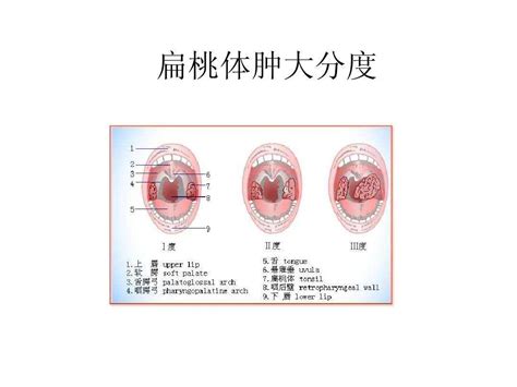 博人传六甲霸皇阵超越凯的八门遁甲成体术巅峰! 斑爷这波怎么说?