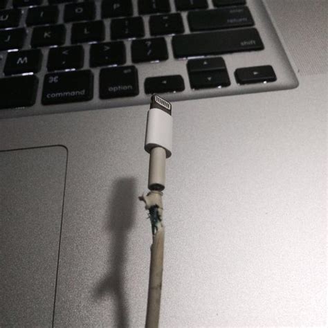 iPhone充电漏电导致用户截肢？苹果这次可能真被冤枉了-36氪
