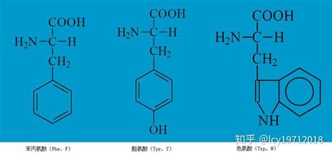 N-苯基对苯二胺 - CAS:101-54-2 - 广东翁江化学试剂有限公司