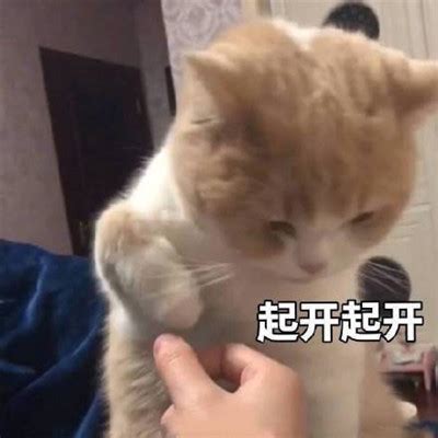 冷漠的表情包图片