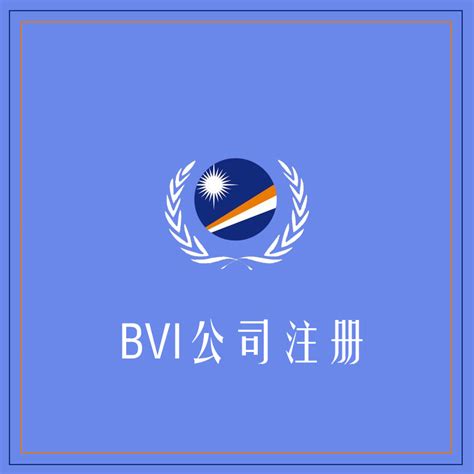 BVI公司 - 公司注册 - 瑞驰达客企业服务（上海）有限公司