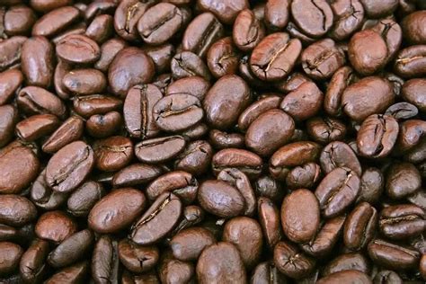 阿拉比卡咖啡豆是什么 100%纯阿拉比卡单品精品咖啡豆种类的功效风味口感特点 中国咖啡网