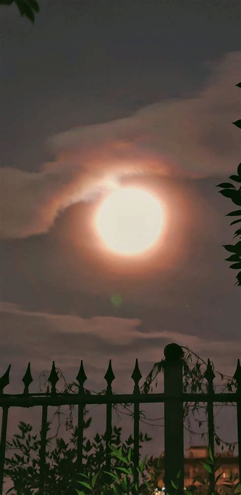 终于守得云开见月明，虽然只是短短的几分钟……__财经头条