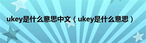 ukey是什么意思中文（ukey是什么意思）_科学教育网