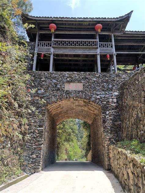 龙岩上杭梅花山的中国虎园 - 知乎