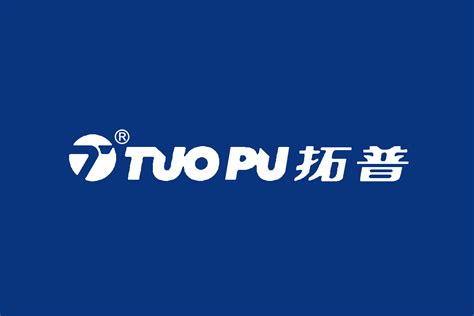 拓普集团标志logo图片-诗宸标志设计