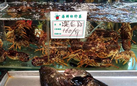 周末探访海鲜城 17种海鲜价格很亲民 看看100元能买多少海鲜|海鲜|海鲜城|嘎啦_新浪新闻