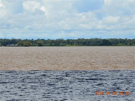 为什么说亚马逊河是世界上最厉害的河流，至今仍没一座桥跨越它？|亚马逊河|河流|亚马逊平原_新浪新闻