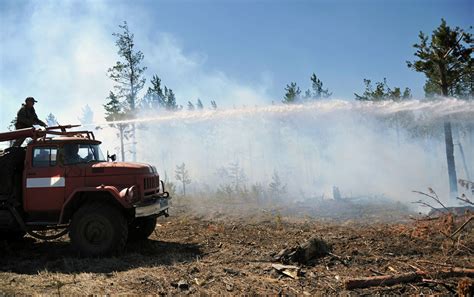 俄远东森林大火已全部被扑灭 - 2017年3月22日, 俄罗斯卫星通讯社