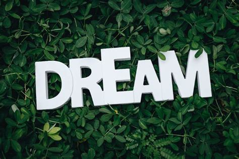 梦想 | 水滴英语作文网