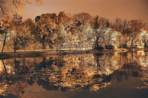夜秋公园景观/美丽的夜晚在一个有黄色树木的城市公园高清摄影大图-千库网