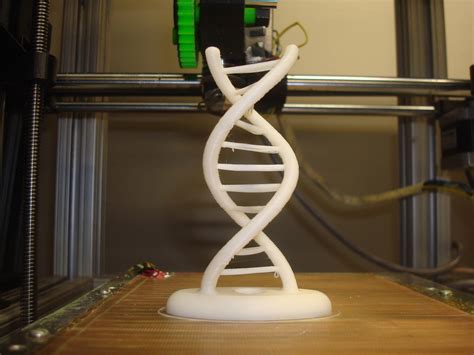 DNA双螺旋结构模型_上海欣曼科教设备有限公司