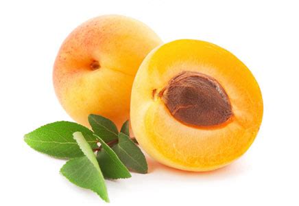 梅子和杏子可以带皮吃吗，杏子可以怎么吃 - 鲜淘网