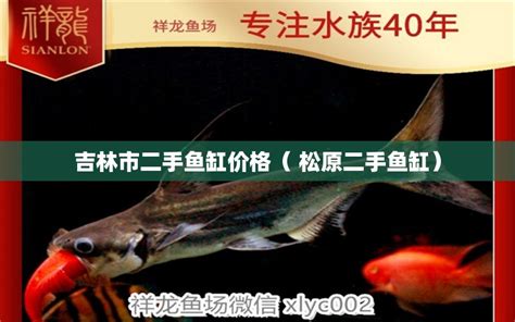 吉林市二手鱼缸价格（ 松原二手鱼缸） - 双线侧鱼 - 广州观赏鱼批发市场