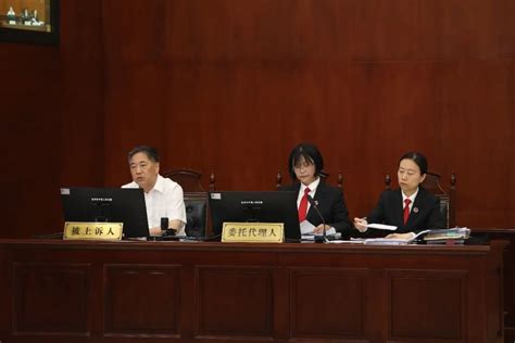 杭州副市长坐上被告席，竟是因为这件小事…_凤凰网资讯_凤凰网