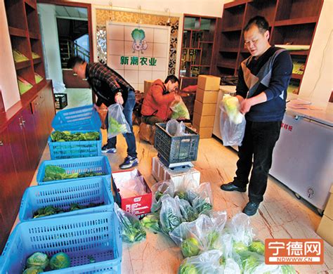 中年女性菜农网络直播售卖有机蔬果高清图片下载-正版图片502475184-摄图网