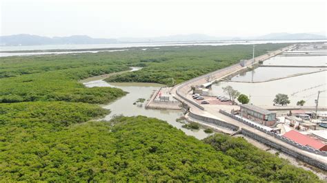 福建漳州：擦“亮”生态底色，推动水土保持高质量发展