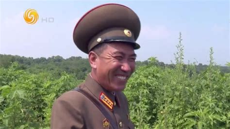 朝鲜人民军_360百科