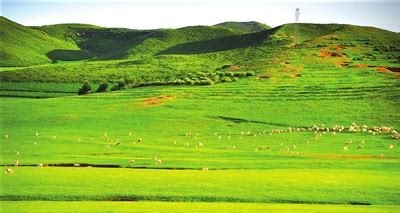 北疆民宿的亮丽风景线-中国民族网