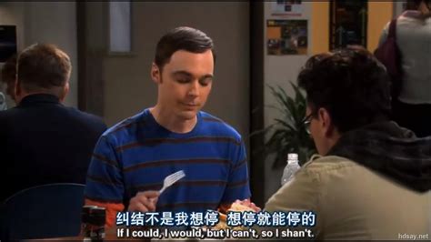 2017-2019 生活大爆炸 The Big Bang Theory 1-12季 1080P 高清 中英字幕 美剧 下载地址 – 旧时光