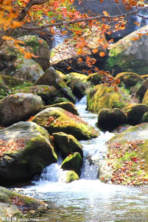 小溪石头中的流水摄影图下载_红动中国