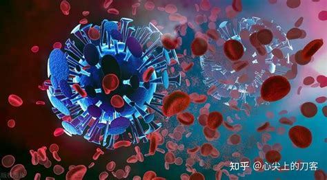新型冠状病毒Omicron变异株病原学及流行病学研究进展 - 知乎