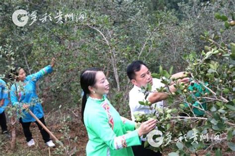 黎平县水口镇：“三度”深入推动移风易俗工作 - 黔东南文明网