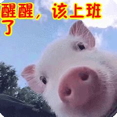 你醒啦图片