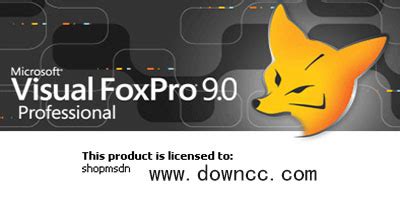 vfp(Visual FoxPro)官方下载_2024电脑最新版_vfp(Visual FoxPro)官方免费下载_华军软件园