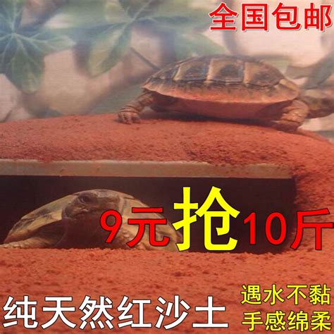 泥水养龟好还是绿水养龟好 养龟的绿水怎么培养_宠物百科 - 养宠客
