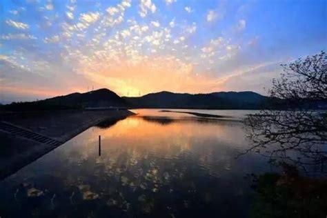 宁波江北区荪湖花海景区4K航拍mp44K视频素材-第1497个作品