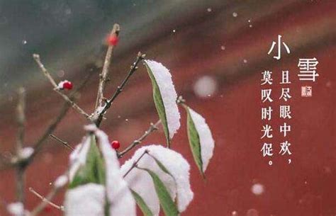 小雪节气的含义是什么，雨雪纷飞（每年的11月22-23日）_探秘志