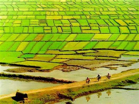 中国试图建立湄公河合作新时代-国际环保在线