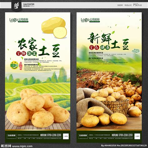 土豆设计图__海报设计_广告设计_设计图库_昵图网nipic.com