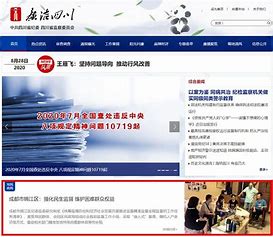 四川网站建设优化公司招聘 的图像结果