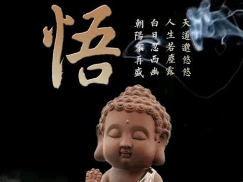 禅佛心静的图片
