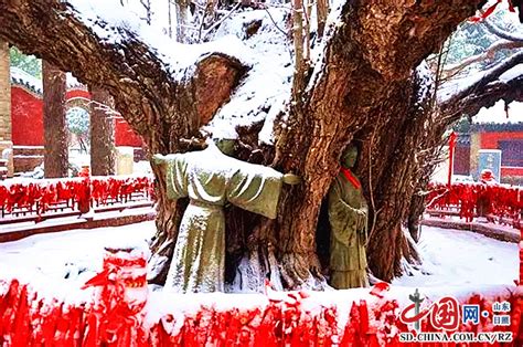 山东莒县浮来山，因4000年的银杏树，千年古寺成旅游胜地_定林寺
