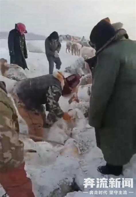 罕见暴风雪袭击新疆阿勒泰，多部门出台救助措施减少牧民受灾损失 - 上游新闻·汇聚向上的力量