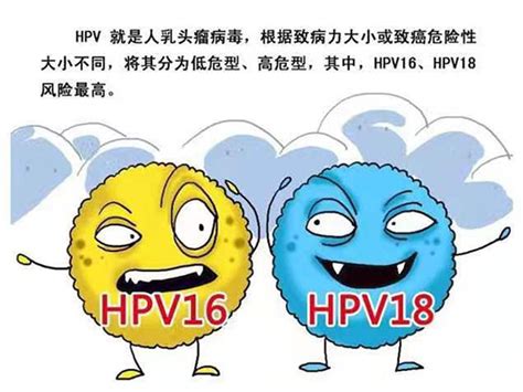 治疗HPV18型感染最好的药_有来医生