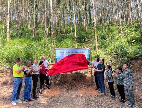 广西首个“桉树人工林碳汇物联网监测示范基地”项目在高峰林场揭牌 - 信息快报 - 广西壮族自治区林业局网站
