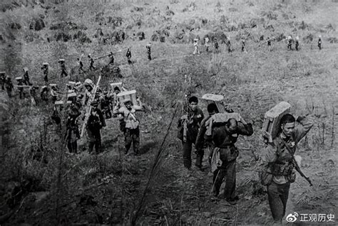 越军袭击民兵，伤亡99人，161师3000人地毯式搜索，没有俘虏|粮食|越军|民兵_新浪新闻