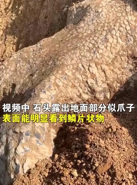 湖南武冈修马路挖出“龙爪石”，表面呈蓝色鳞片状，村民争相围观_腾讯视频