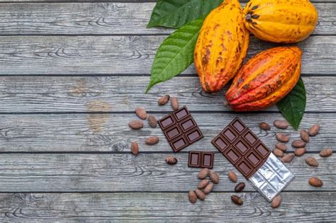 关于可可：Cacao 跟 Cocoa 的差别是什么？哪个才正确？ - 知乎