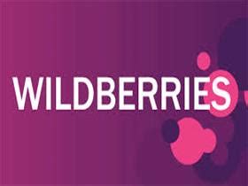 俄罗斯电商平台：Wildberries - 外贸日报