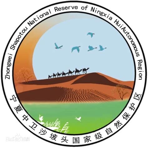 沙坡头国家级自然保护区（宁夏） - 蜘蛛指南