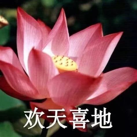 非主流老年版头像