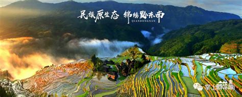 多彩贵州展板背景背景图片素材免费下载_熊猫办公
