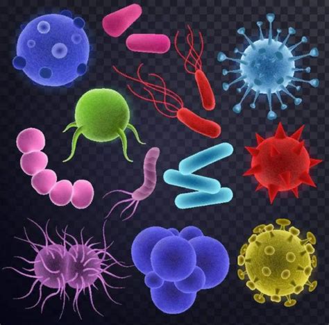 微生物有哪些？微生物生物学分类小知识_天津西玛科技有限公司