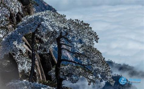 冬季黄山、世界文化遗产宏村、西递旅游+摄影团（正在报名）_旅拍线路_国际旅游摄影网